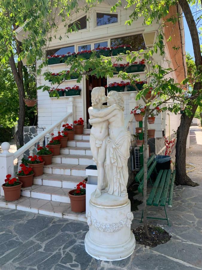 Bungalows & Albergue La Playa Логроньо Экстерьер фото